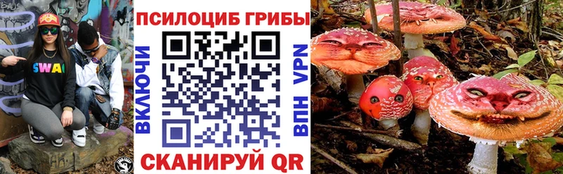 Галлюциногенные грибы Cubensis  Калининск 